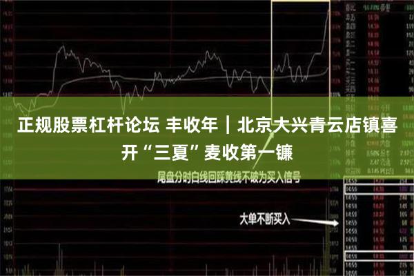 正规股票杠杆论坛 丰收年︱北京大兴青云店镇喜开“三夏”麦收第一镰