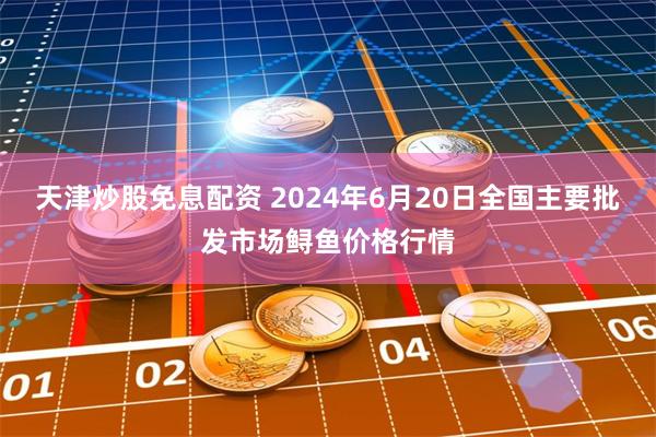 天津炒股免息配资 2024年6月20日全国主要批发市场鲟鱼价格行情