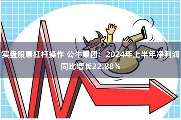 实盘股票杠杆操作 公牛集团：2024年上半年净利润同比增长22.88%